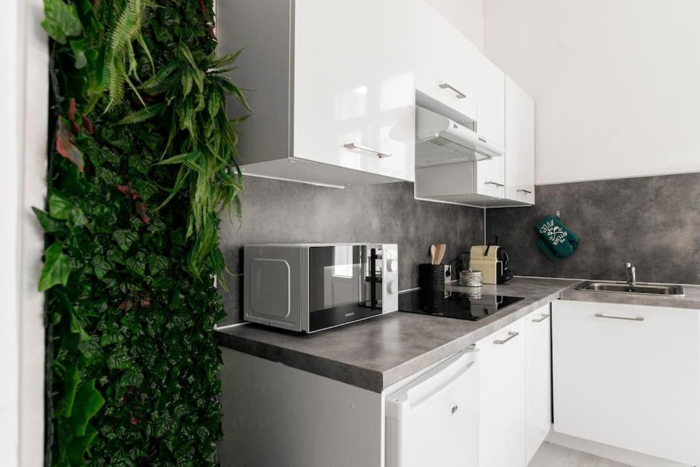 Charmant Studio Arbore Et Climatise Καρκασόν Εξωτερικό φωτογραφία