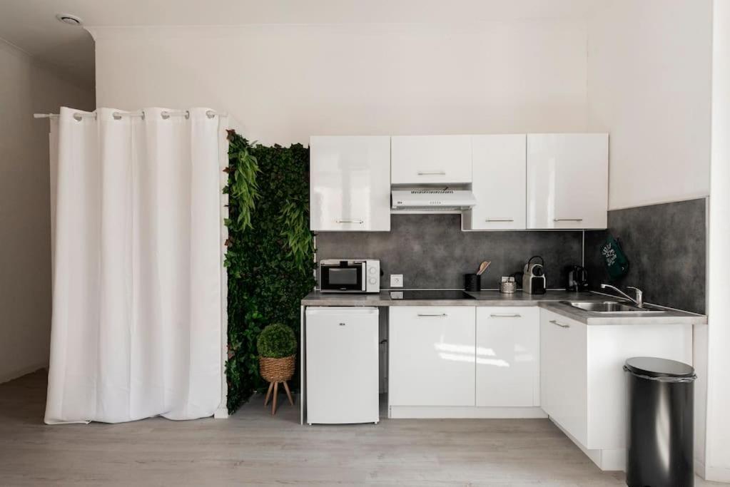Charmant Studio Arbore Et Climatise Καρκασόν Εξωτερικό φωτογραφία