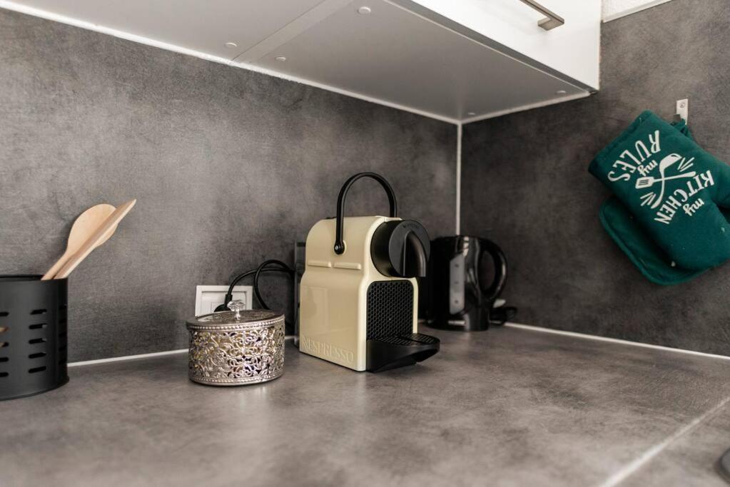 Charmant Studio Arbore Et Climatise Καρκασόν Εξωτερικό φωτογραφία